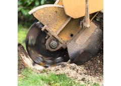Best Service For Stump Grinding in Amersham