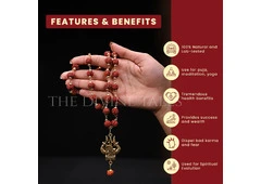 Shop Original Rudraksha Mala Beads - Rudraksha Price @ 499 – The Divine Tales