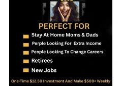 Agent Needed-Get Paid To Help Small Business Owners