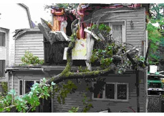 Disaster Strikes, Call Our Emergency Tree Removal Service