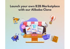 Build a Global B2B Platform in No Time with an Alibaba Clone