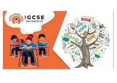 Best IGCSE online tutoring -IGCSE on Fingertips