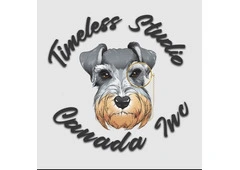 Custom website design Timeless Studio