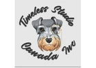 Custom website design Timeless Studio