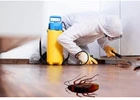 Best Service For Pest Control in Teralba