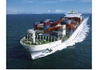 Ocean Freight Logistics Services
