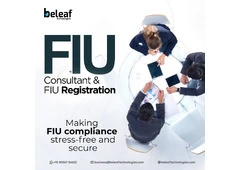 FIU Registration Made Simple: Expert Guidance from FIU Consultants