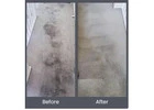 Find holistic cleanup solutions from the Best Carpet Cleaning Company in Adelaide