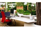 Green Corners & City Views: Melbourne’s Indoor Plant Aesthetic