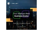 Business Scaler