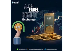 Ready to Be Your Own Boss? Here’s Your Crypto Exchange!