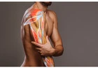 Pain Management Silver Spring