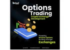 Accelerate Growth with AI-Powered Option Trading Exchange Development