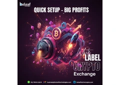 Quick Setup, Big Profits – White Label Crypto Exchange Software