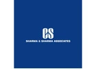 Professional Company Wind Up Services in Chennai – Sharma & Sharma Associates