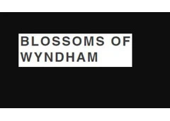 Same Day Flower Delivery Point Cook -  Blossom of Wyndham