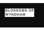 Same Day Flower Delivery Point Cook -  Blossom of Wyndham
