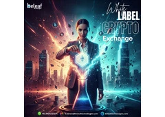 Smart Entrepreneurs Build Fast – Launch with White Label Crypto Software!