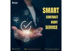 Professional Smart Contract Audit Service - Beleaf Technologies