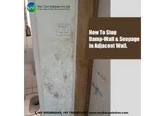 Waterproofing Contractors in Delhi NCR – Wet2Dry Solutions Pvt Ltd