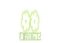 Flower Delivery Greensborough