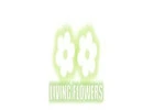 Flower Delivery Greensborough