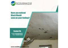 Waterproofing Services in Trivandrum – Trusted Experts for Leak Protection