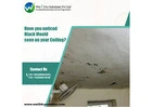 Waterproofing Services in Trivandrum – Trusted Experts for Leak Protection