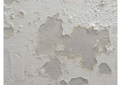 Why Is My Wall Paint Peeling Off? | LeakFoe Explains
