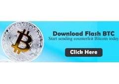 Introduction to Flash Bitcoin
