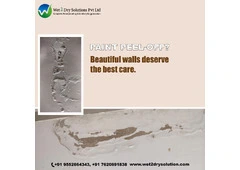 Professional Waterproofing Services in Mumbai – Wet2Dry Solutions