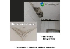 Professional Waterproofing in Trivandrum – Affordable & Reliable