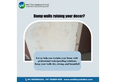 Professional Waterproofing Services for Homes & Buildings