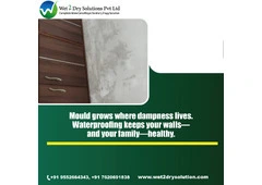 Waterproofing Contractors in Chennai