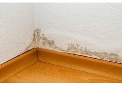 Waterproofing Contractors in Ahmedabad | LeakFoe