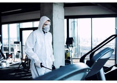 Save Your Home Before Mold Spreads