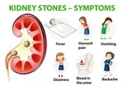Signs You Need to See a Kidney Stone Specialist