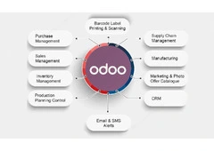 One Stop Odoo | Development Company