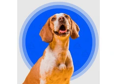 Pooper scooper nearby