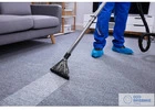 Expert Carpet Cleaning Services – Brisbane Northside
