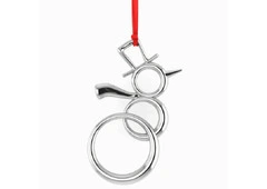 Shop Elegant Silver Christmas Ornaments Today!