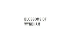 flower delivery Yarraville -  Blossom of Wyndham