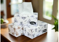 Buy Facial Tissues Melbourne in a Pack of 180 Wipes