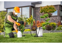 Pest Control Solutions Fort Saskatchewan