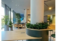 Corporate Plants for Offices & Commercial Spaces