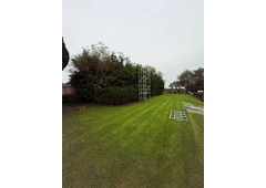 Hedge Cutting Season Services | Safe, Clean & Expert Hedge Care