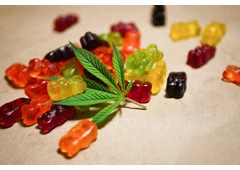 Camino Cannabis Gummies In Ohio