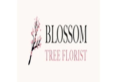 Christmas Flowers Melbourne – Blossom Tree Florist