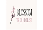 Christmas Flowers Melbourne – Blossom Tree Florist