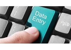 Earn from Home: Form Typing Project | 7708244092